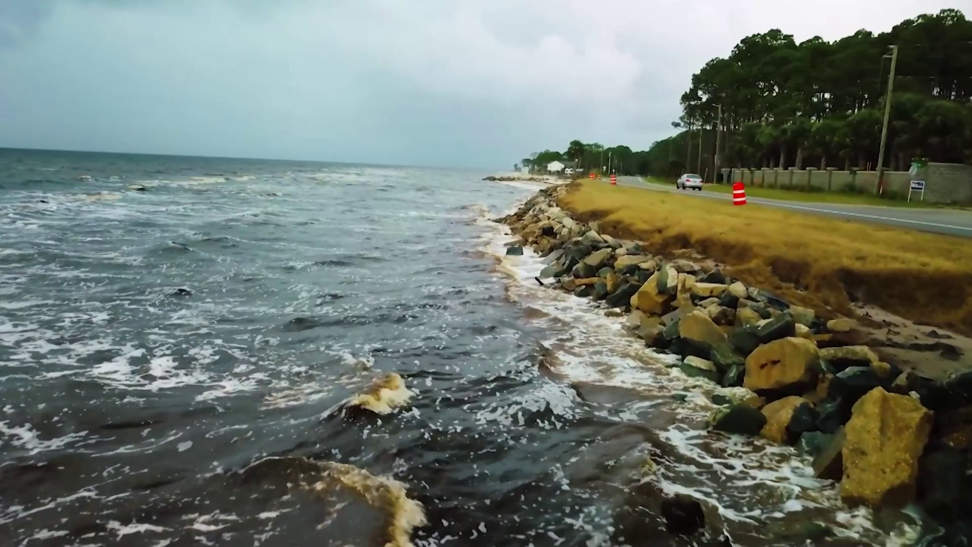 Fighting Coastal Erosion with Nature