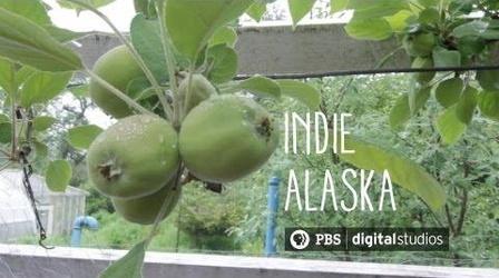 Video thumbnail: Indie Alaska I am the Greenhouse Guru | INDIE ALASKA