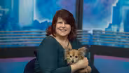 Community Animal Welfare Society (CAWS)