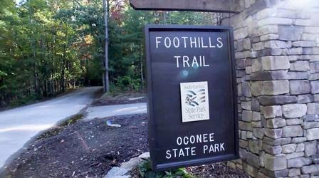 Video thumbnail: Palmetto Scene Points of Interest Around Our State