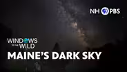 Maine’s Dark Sky | Windows to the Wild