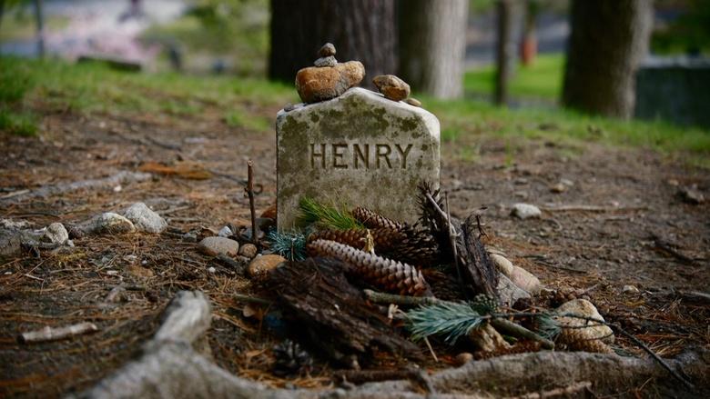 Henry David Thoreau Image