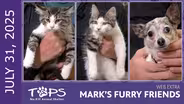 07/31/2025 | Fun Dip, Satellite Wafer, and Ritz | Mark's Furry Friends: Extra