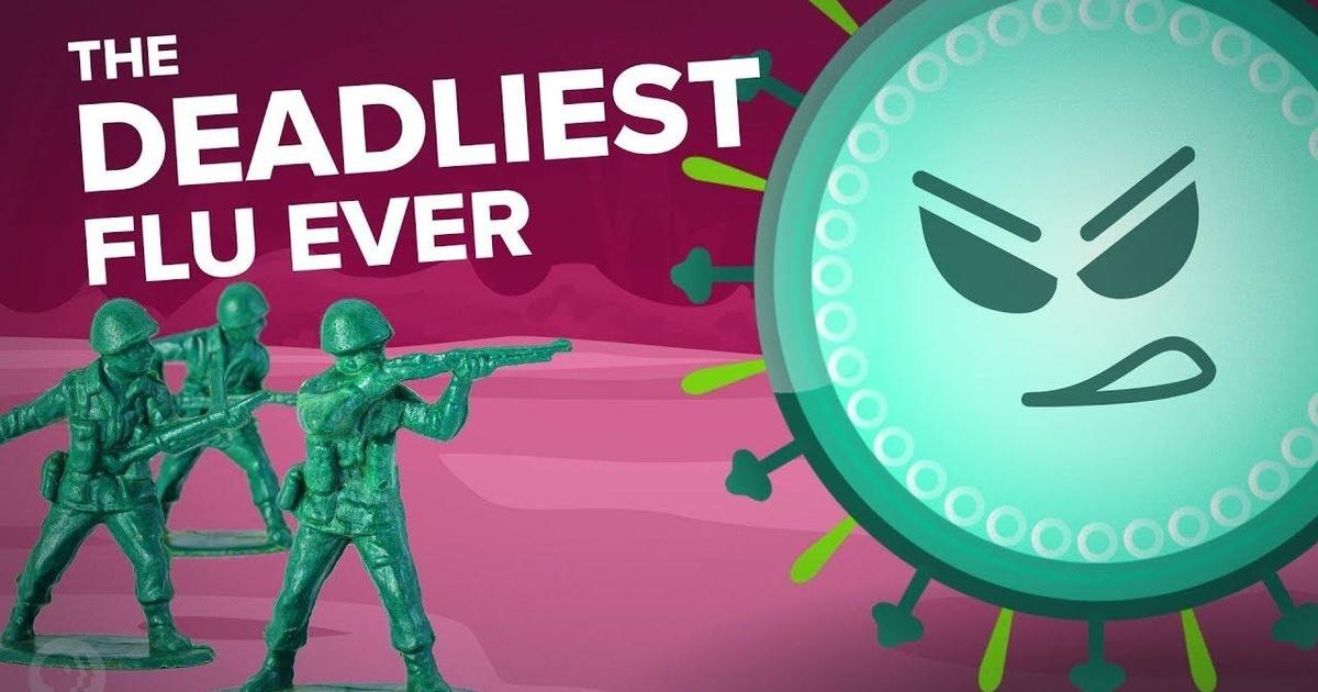 The Deadliest Flu Season in History? It's Okay to Be Smart PBS