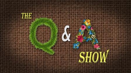 Video thumbnail: The Family Plot Q & A Show