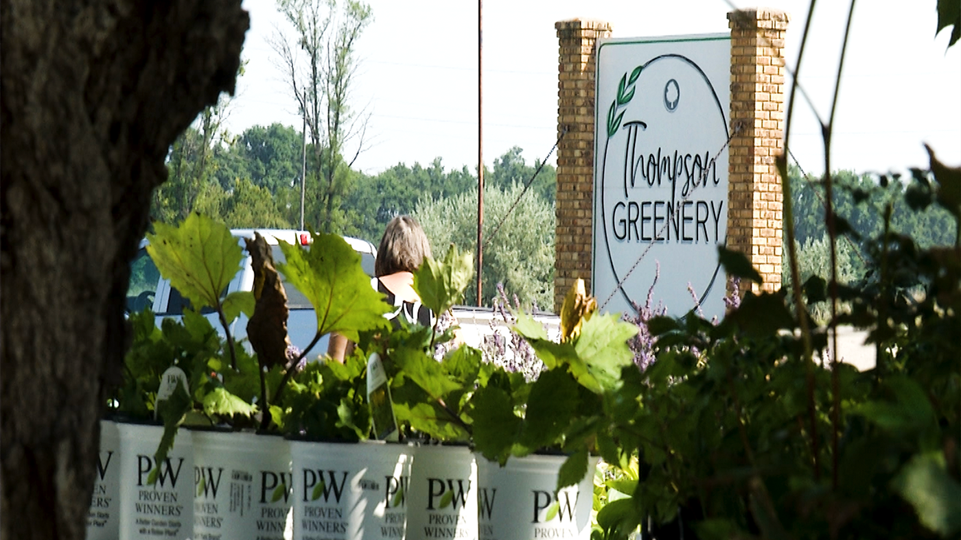 Thompson Greenery is an expansive greenhouse with a wide variety of hanging baskets and planters.