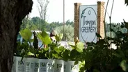 Thompson Greenery - A Hometown Greenhouse