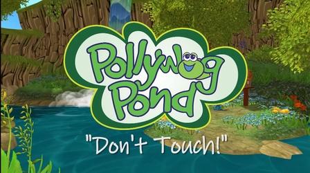Video thumbnail: Responding to the COVID-19 Pandemic Pollywog Pond: Don't Touch!