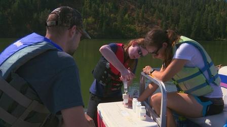 Video thumbnail: Idaho Science Journal Fernan Lake Invasion