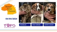 04/04/2024 | Twinkles, Tina Turner and Sammy Hagar | Mark's Furry Friends
