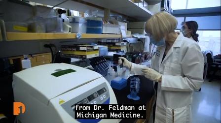 Video thumbnail: One Detroit COVID-19's Impact on Communities