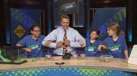 Video thumbnail: Curious Crew Polymers