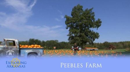Video thumbnail: Exploring Arkansas Exploring Arkansas: Peebles Farm