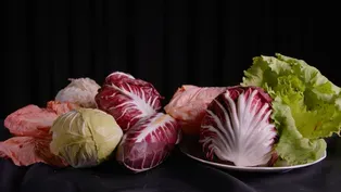 Radicchio | Superabundant