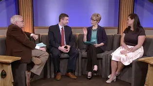State Party Chairs Talk Congress, MN Legislature