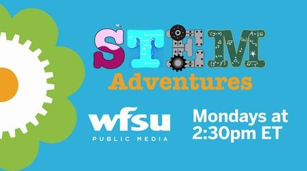 Video thumbnail: WFSU Education Preview: STEM Adventures Summer 2020