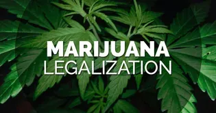 Debate: Should Marijuana be Legalized?
