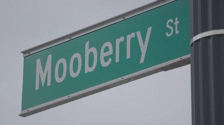 Video thumbnail: Columbus Neighborhoods Curious Cbus: Mooberry Street's Namesake