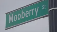 Curious Cbus: Mooberry Street's Namesake