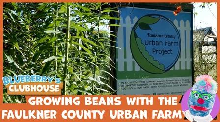 Video thumbnail: Blueberry's Clubhouse Gardening With Faulkner County Urban Farm Project
