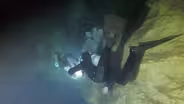 Cave Creature Discovered|Mysteries of the Floridan Aquifer