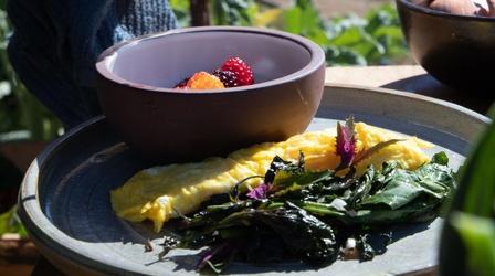 Video thumbnail: Les Stroud's Wild Harvest Fiona's Forager Farm