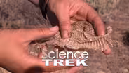 Snakes: Big, Small and Shedding Snakes
