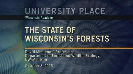 Video thumbnail: University Place The State of Wisconsin's Forests