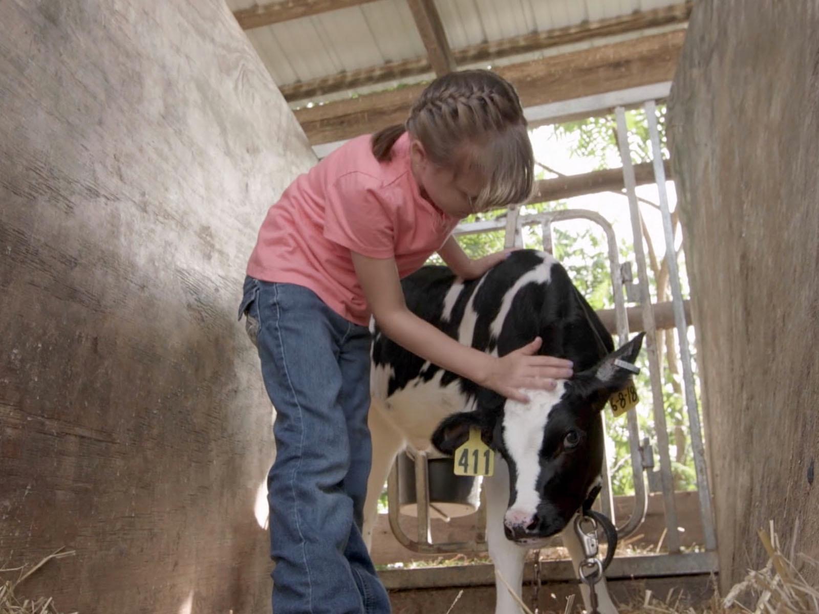 A Visit to a Dairy Farm