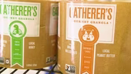 Gatherers | Preview