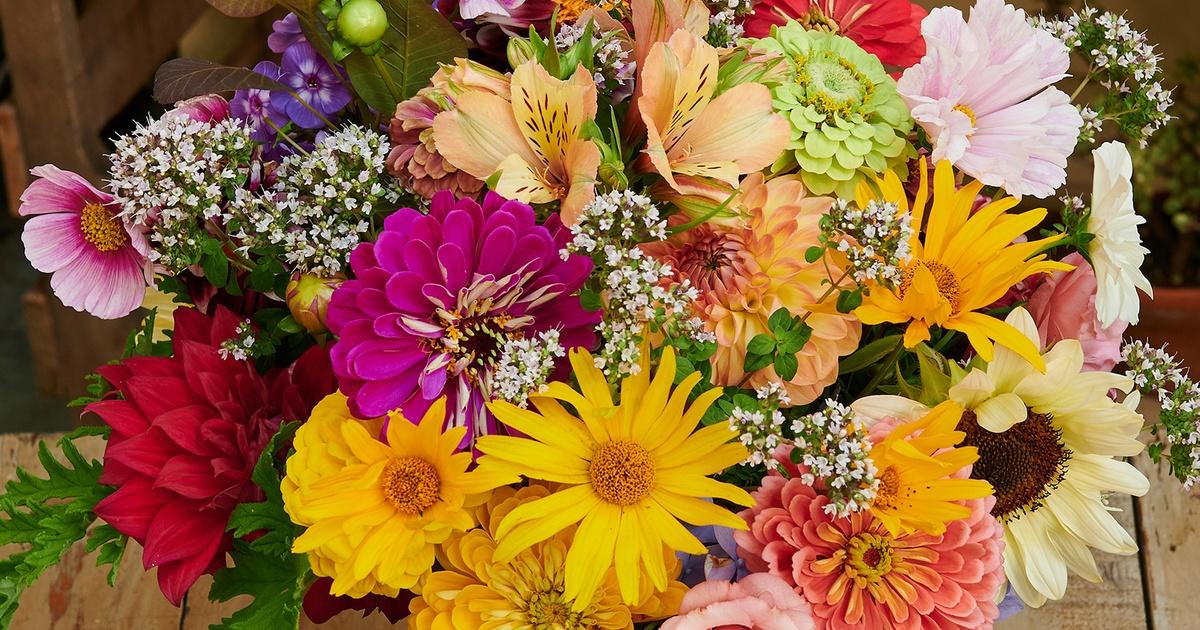 J. Schwanke Explains Why The 'Food' Packet That Comes With Your Cut Flowers  Can Make Them Last Longer