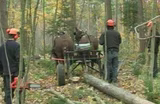 Draft Horse Logging & Author Bill McKibben
