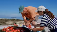 Lobster in Maine