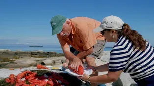 Lobster in Maine