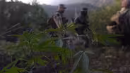 Cannabis Country Preview