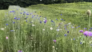 Tennessee Life - 702 - Beautiful Blooms