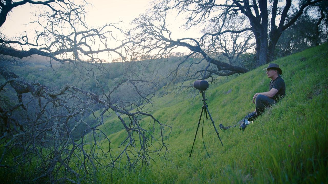 The Songs of Strangers Preview