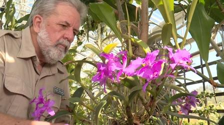 Video thumbnail: A Growing Passion The World in a Garden