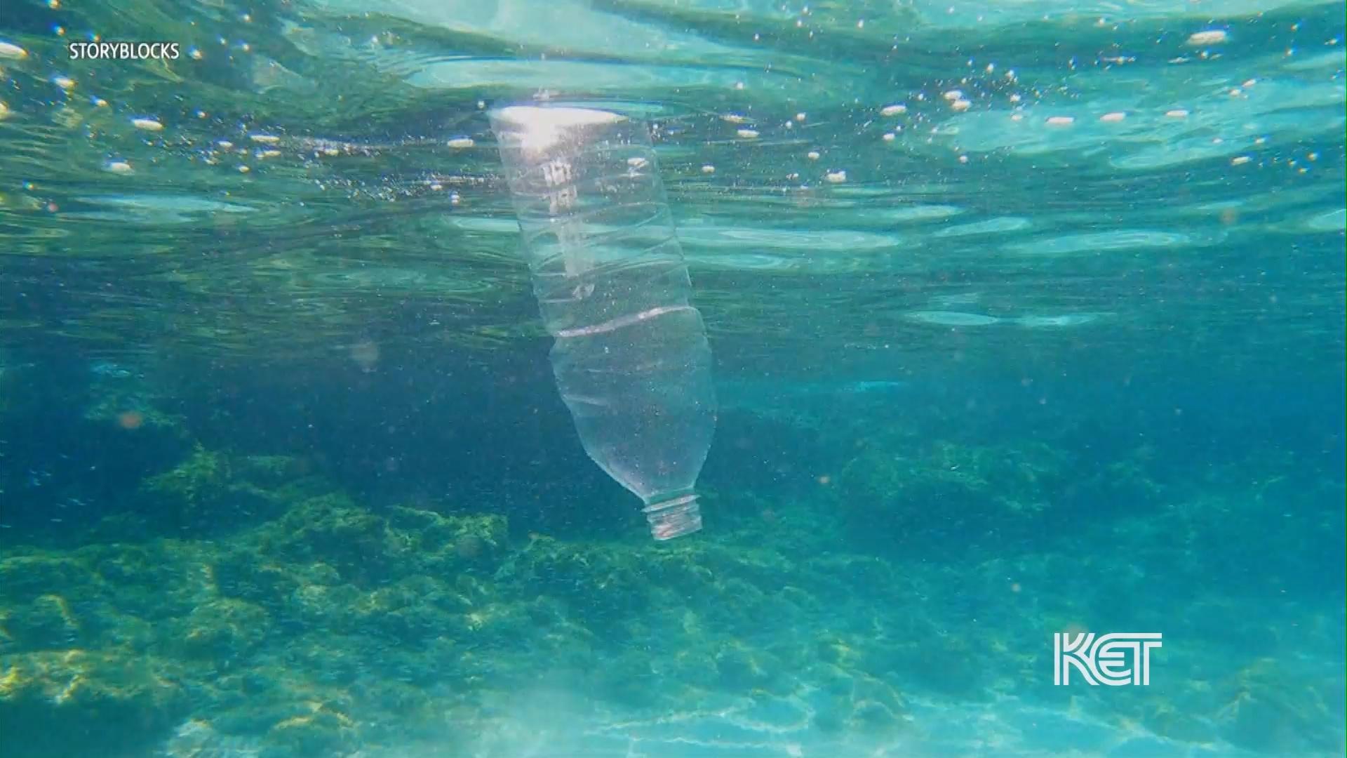 University of Kentucky Researchers’ Possible Solution to Plastic Pollution