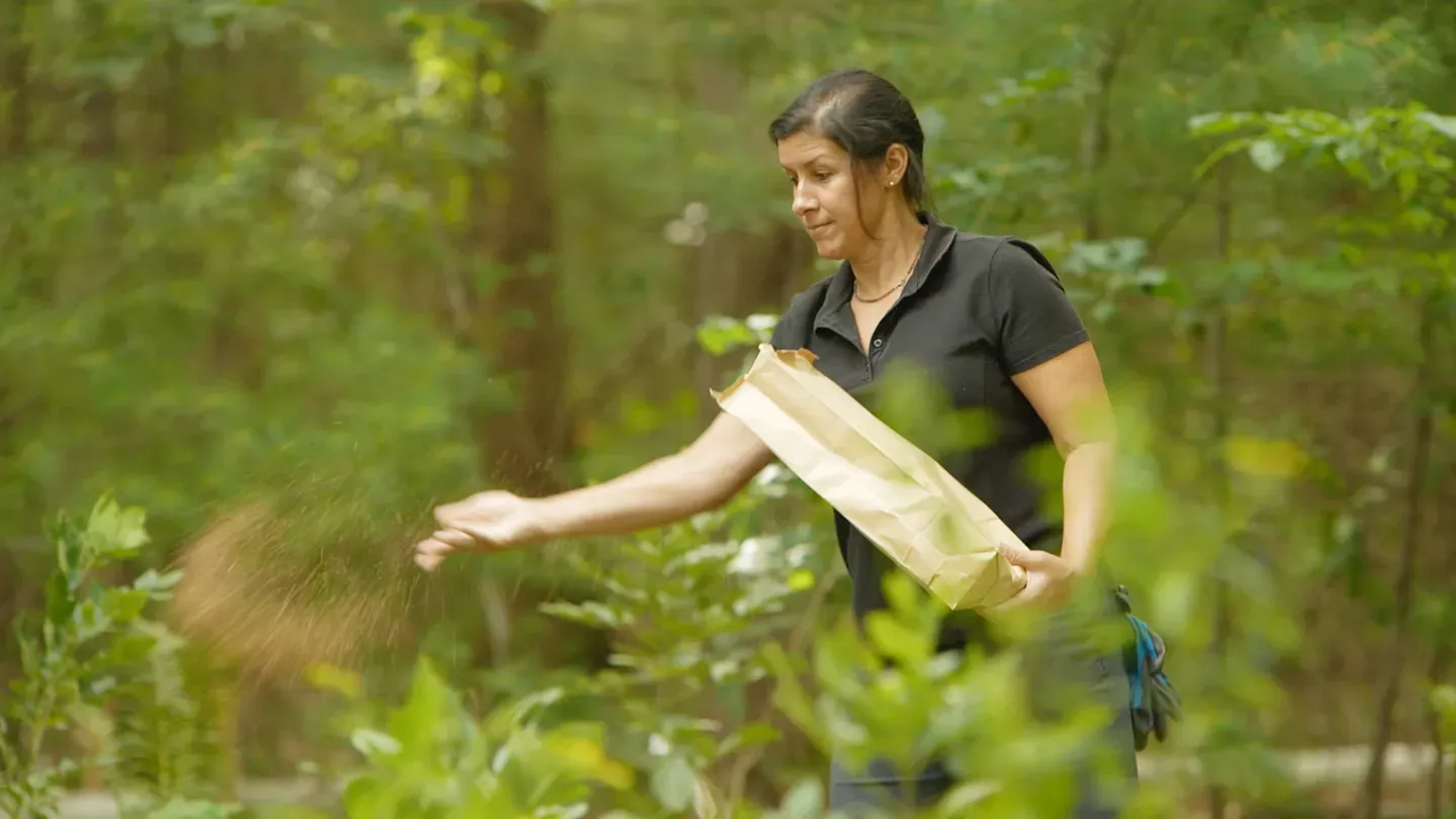 E16 | Wetlands, Foundation Painting | Ask This Old House