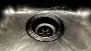 Meet the Microbes That Climb Out of Sinks