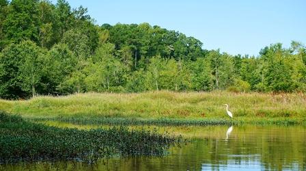 Video thumbnail: SCI NC Water Science
