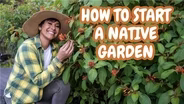 Native Plants for Your South Florida Garden