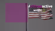 Voting Reform Horner