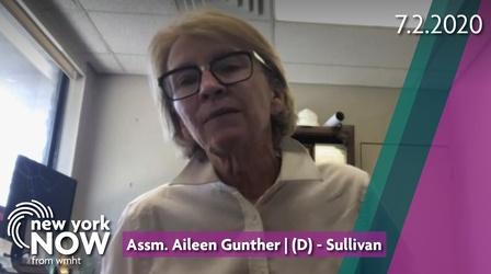 Video thumbnail: New York NOW Assemblywoman Aileen Gunther on the State of Mental Health