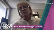 Assemblywoman Aileen Gunther on the State of Mental Health