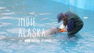 First Ever Rehabilitated Cook Inlet Beluga Calf | INDIE ALAS