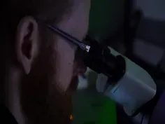 Shape Memory Polymers, Coral & Burning a Forest