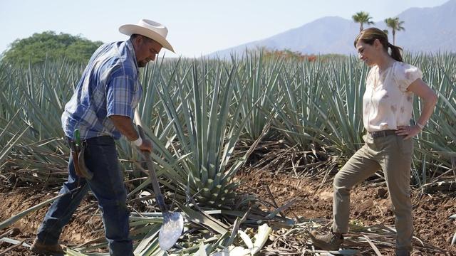 Pati's Mexican Table | The Heart of Tequila