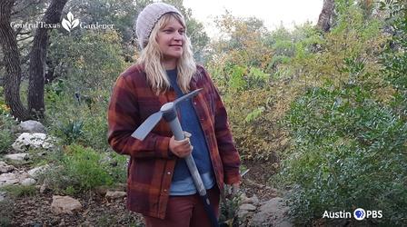 Video thumbnail: Central Texas Gardener Great Tool for Digging Rocky Clay Soil!